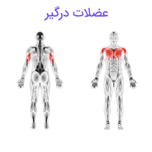 شنا سوئدی 4 شنا سوئدی