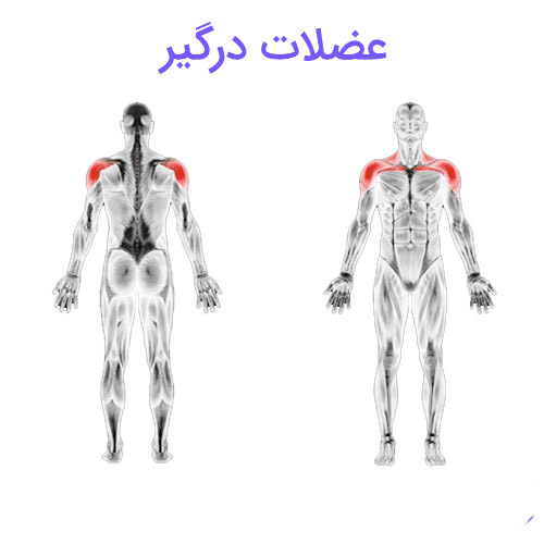 پرس سرشانه اسمیت از جلو 4 پرس سرشانه اسمیت از جلو