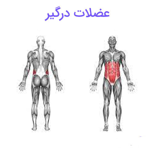کرانچ معکوس 4 کرانچ معکوس