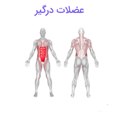 لگ رایز 4 لگ رایز